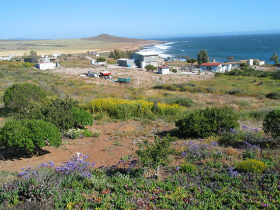 porchview