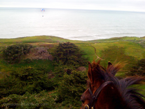horse_02